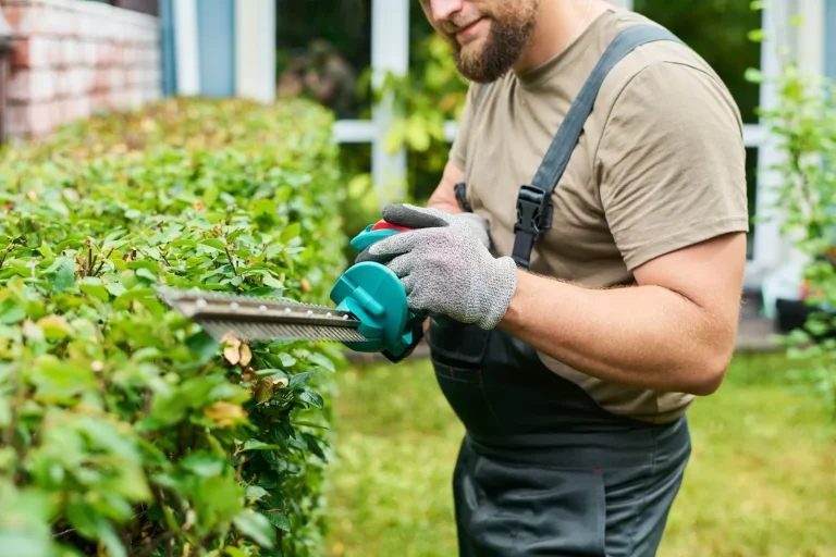 Gärtner schneidet eine Hecke mit der elektrischen Heckenschere